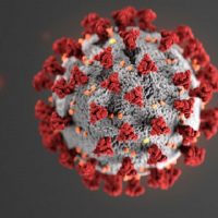 CoronaVirus Tracker
